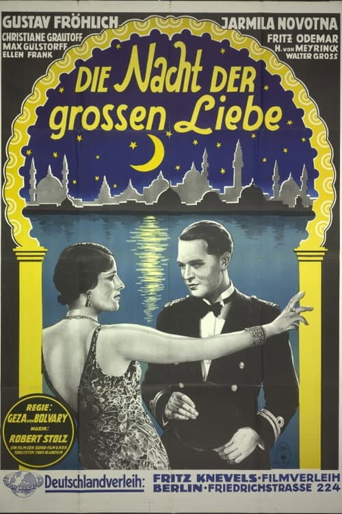 Die Nacht der großen Liebe (1933) poster