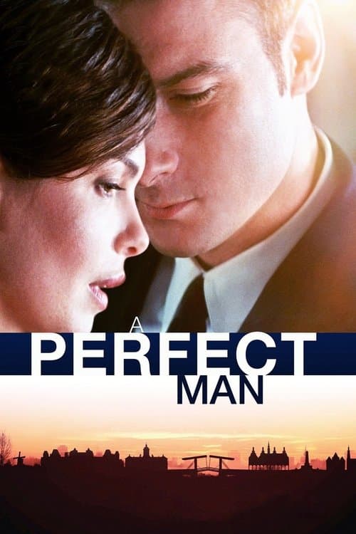 A Perfect Man (2013) poster