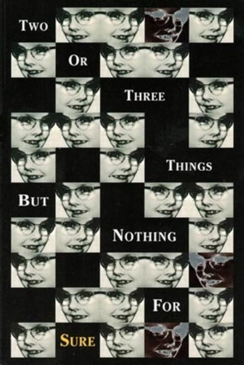 Two or Three Things but Nothing for Sure (1997) poster