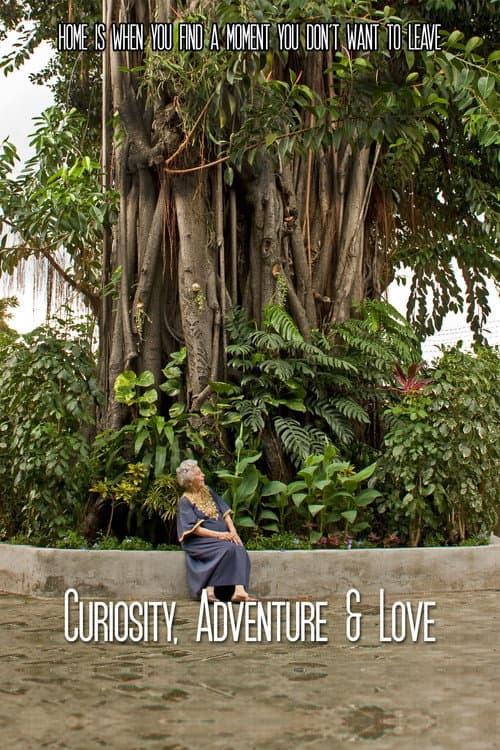 Curiosity, Adventure and Love (2016) poster