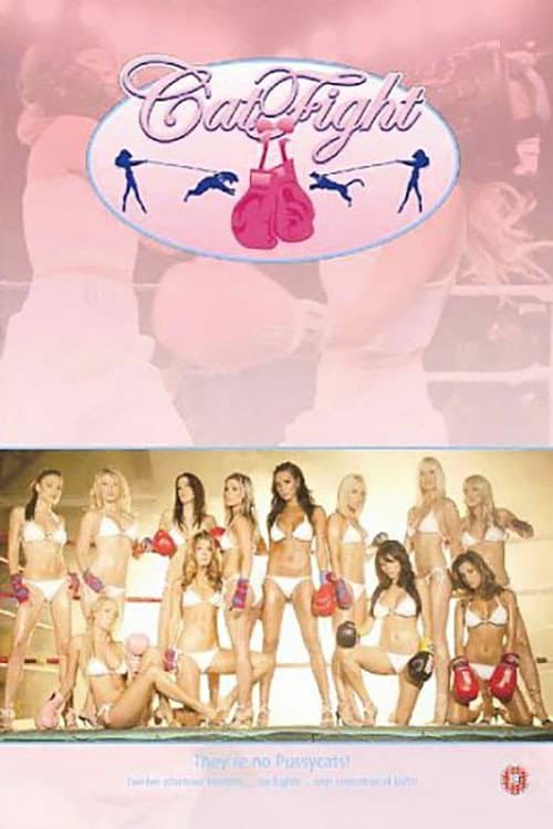 CatFight (2006) poster