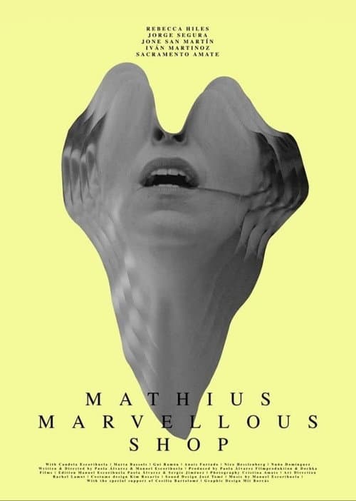 Mathius Marvellous Shop (2019) poster