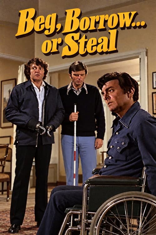 Beg, Borrow...or Steal (1973) poster
