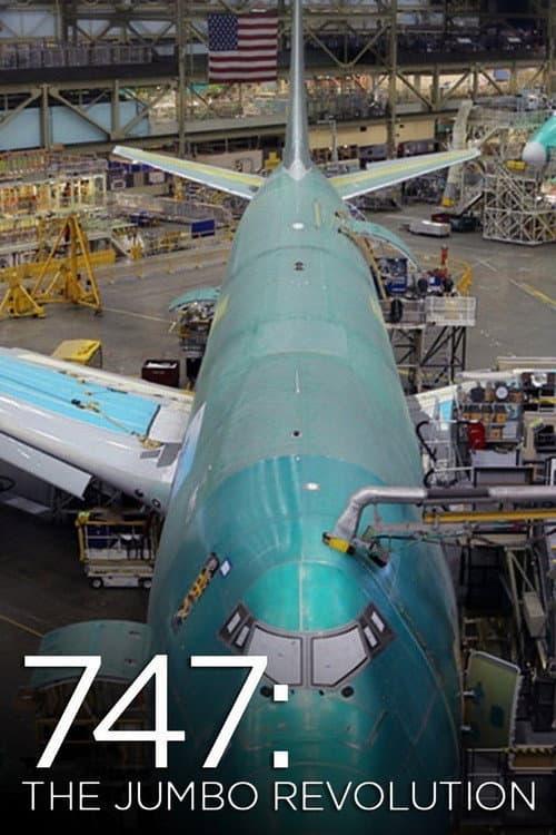 747: The Jumbo Revolution (2014) poster