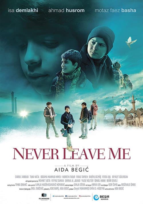 Never Leave Me (2018) poster