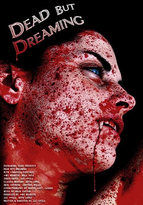 Muerta pero soñando (2013) poster