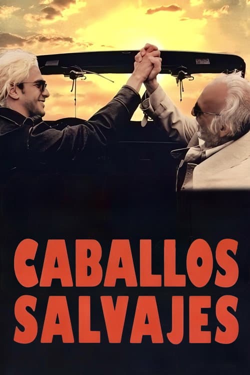 Caballos salvajes (1995) poster