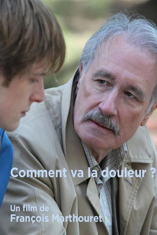 Comment va la douleur ? (2011) poster