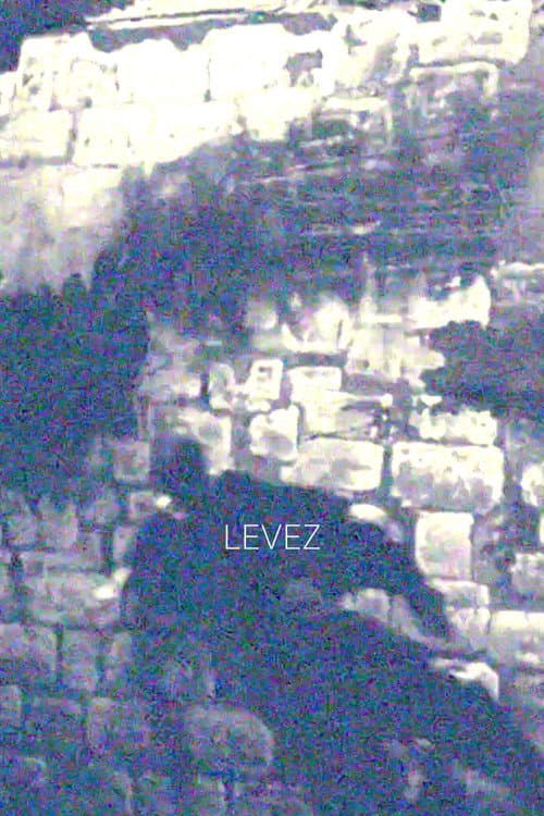 'LEVEZ' (2023) poster