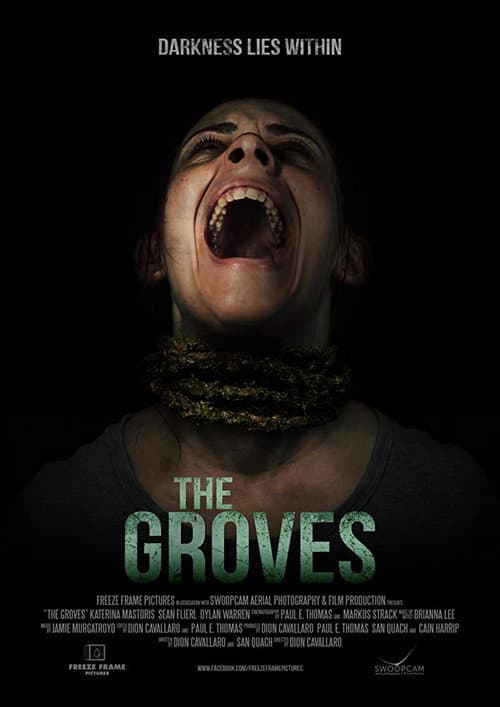 The Groves (2019) poster