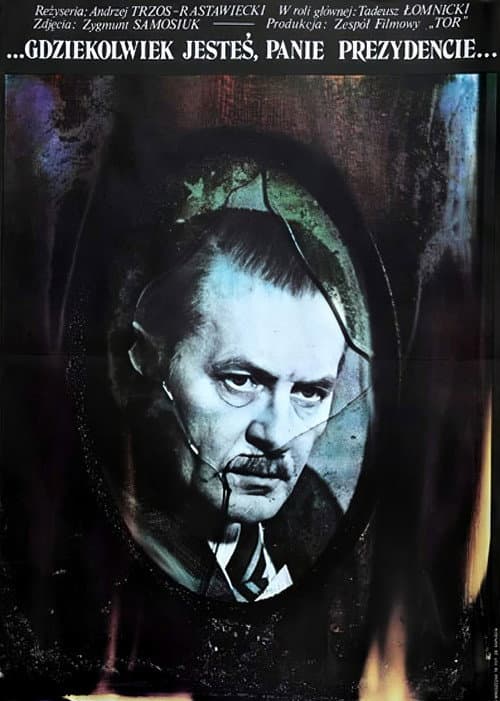...Gdziekolwiek jesteś, panie prezydencie... (1978) poster