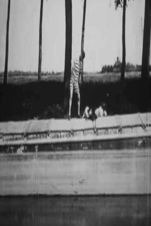Baignade impossible (1901) poster