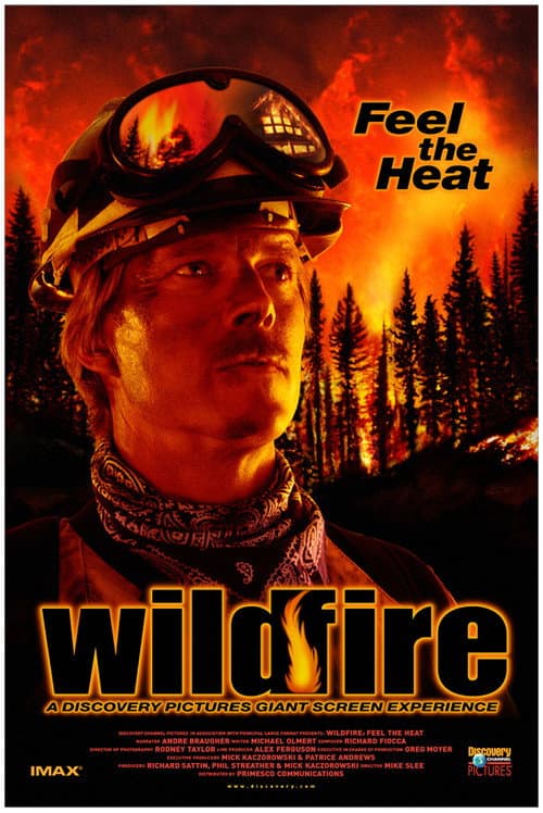 Wildfire: Feel the Heat (1999) poster