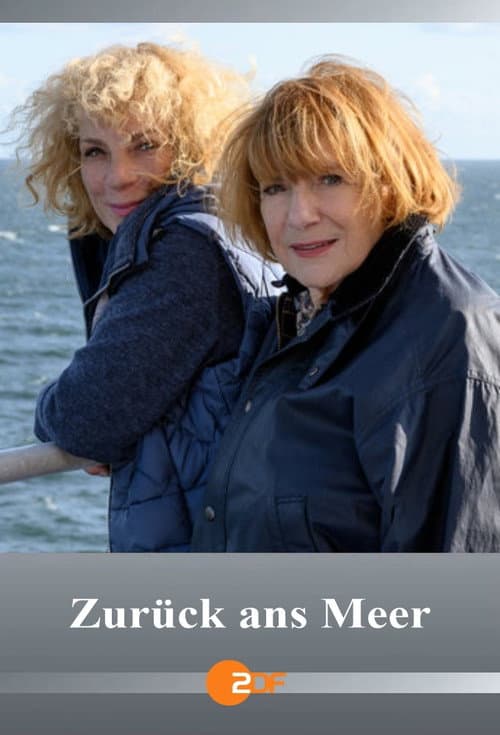 Zurück ans Meer (2021) poster