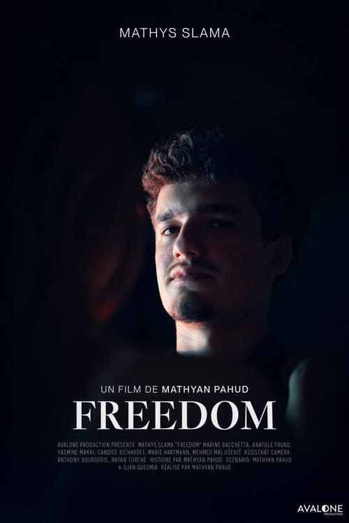 FREEDOM (2025) poster