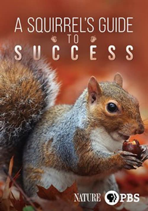 A Squirrel's Guide to Success (2018) poster