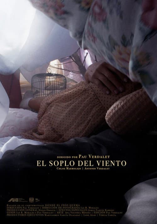 El soplo del viento (2022) poster