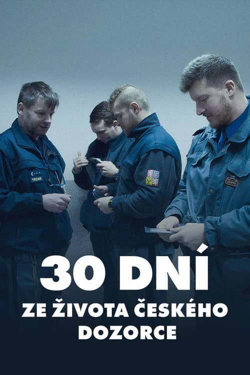 30 dní ze života českého dozorce (2019) poster