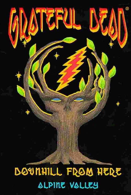 Grateful Dead: Downhill from Here (1989) poster