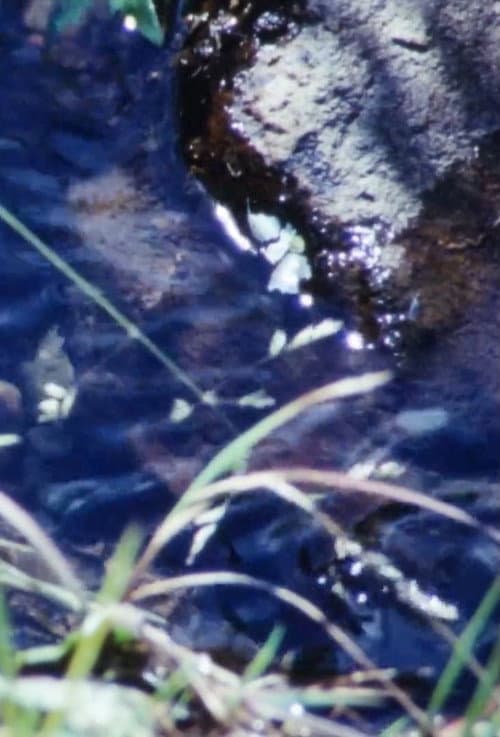 La Source De La Loire (2021) poster