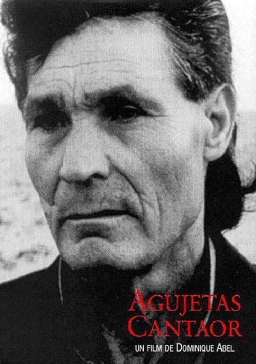 Agujetas Cantaor (1999) poster