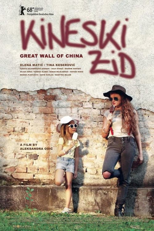Kineski zid (2017) poster