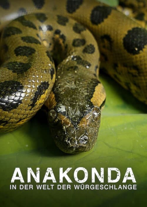 Anaconda: Stille Moordenaar (2014) poster
