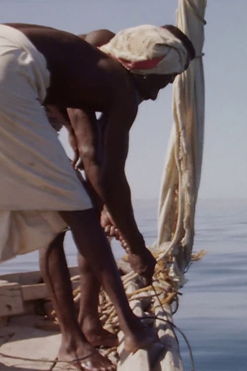 Hauling Sharks (1988) poster