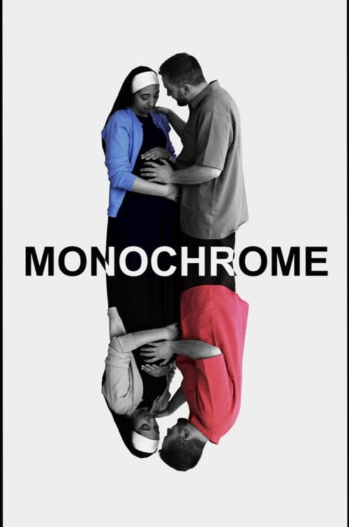 Monochrome (2025) poster