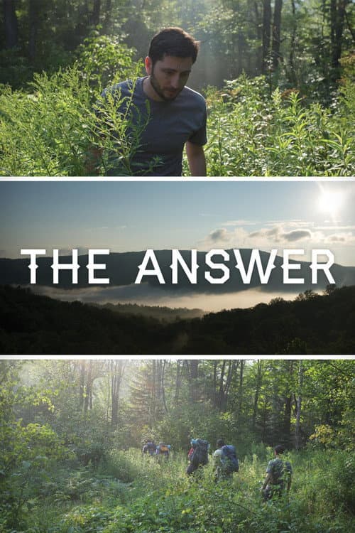 The Answer (2015) poster