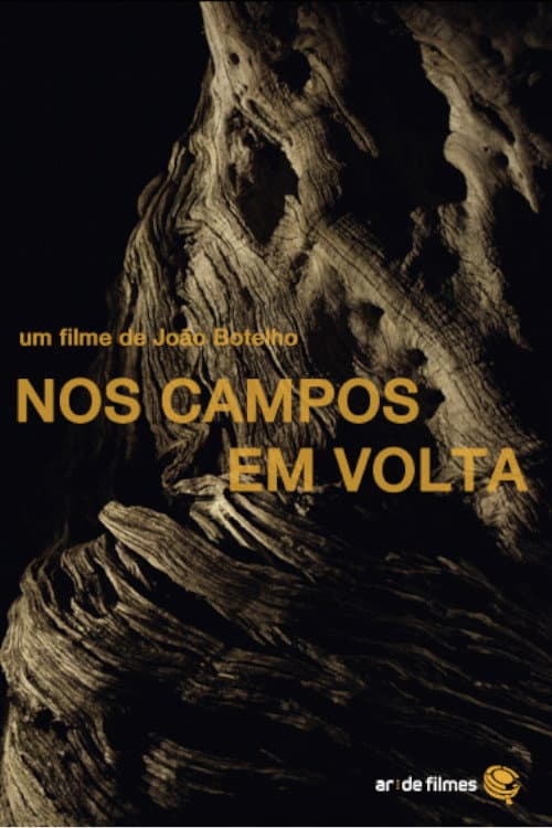 Nos Campos em Volta (2015) poster