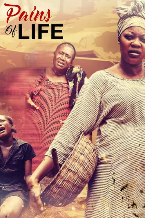Pains Of Life (2017) poster