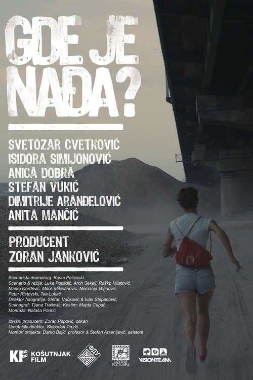 Gdje je Nadja (2013) poster