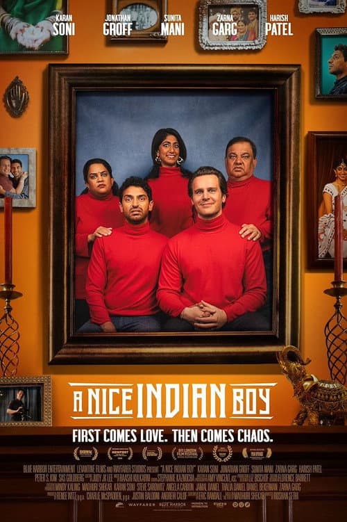 A Nice Indian Boy (2025) poster