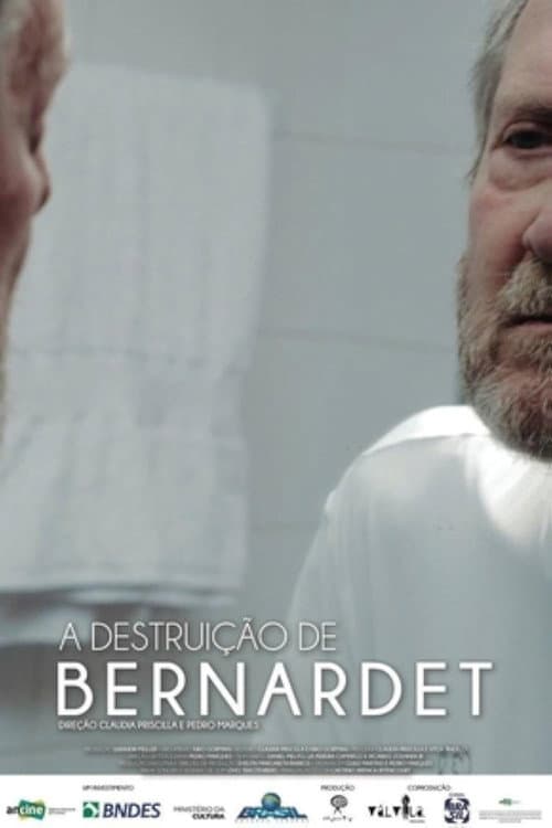 A Destruição de Bernardet (2016) poster