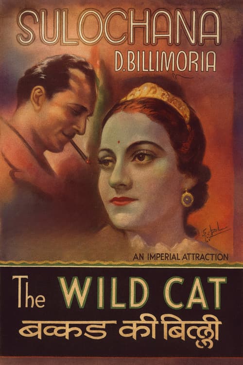 Wildcat of Bombay (1926) poster