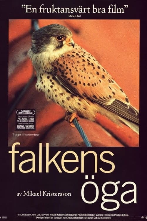 Falkens öga (1998) poster