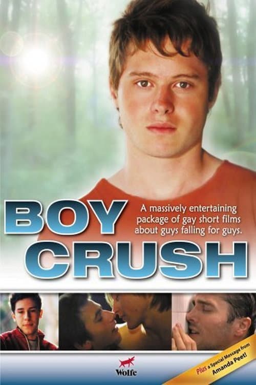 Boy Crush (2007) poster