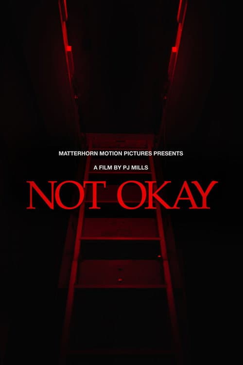 Not Okay (2026) poster