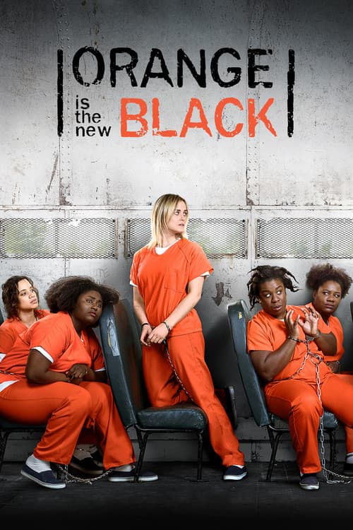 Orange Is the New Black (2013) poster