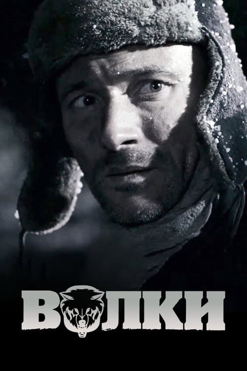 Волки (2009) poster