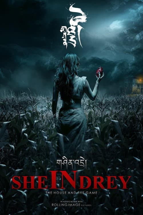 SHEinDREY (2024) poster