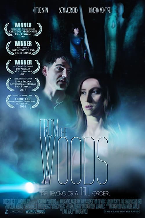 From The Woods (2013) poster