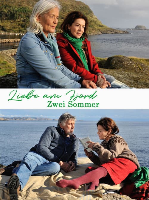 Liebe am Fjord - Zwei Sommer (2013) poster