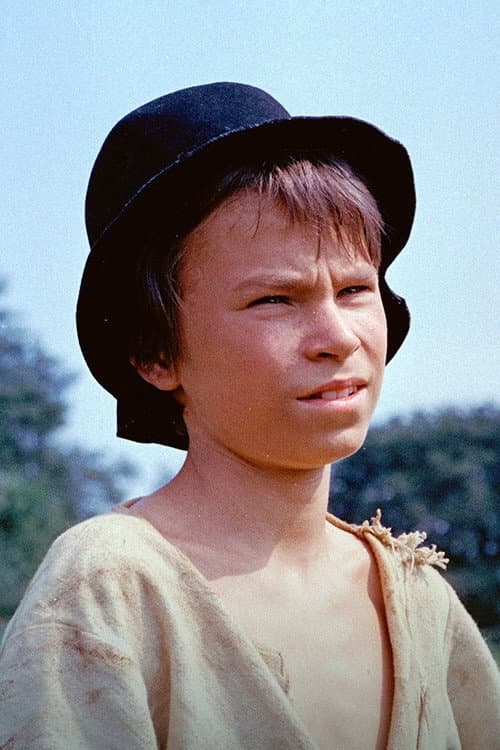 Tajemství Ďáblovy kapsy (1981) poster