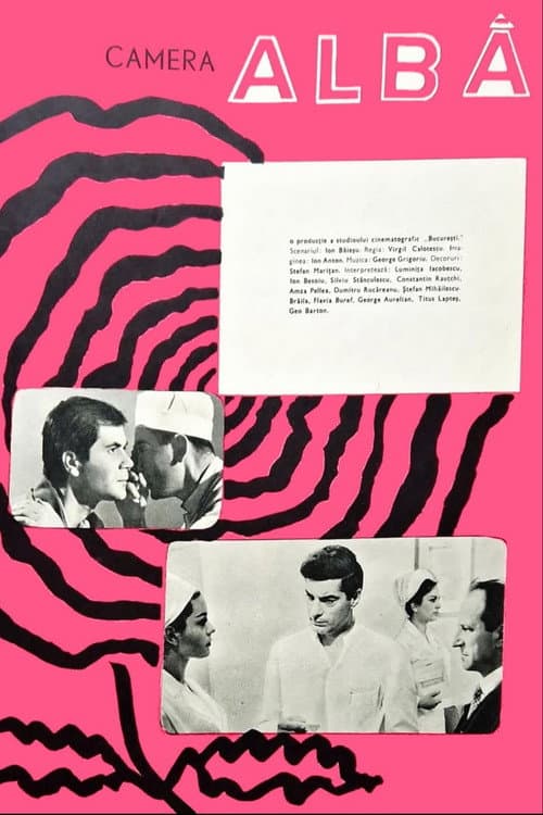 Camera alba (1965) poster
