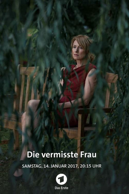 Die vermisste Frau (2016) poster
