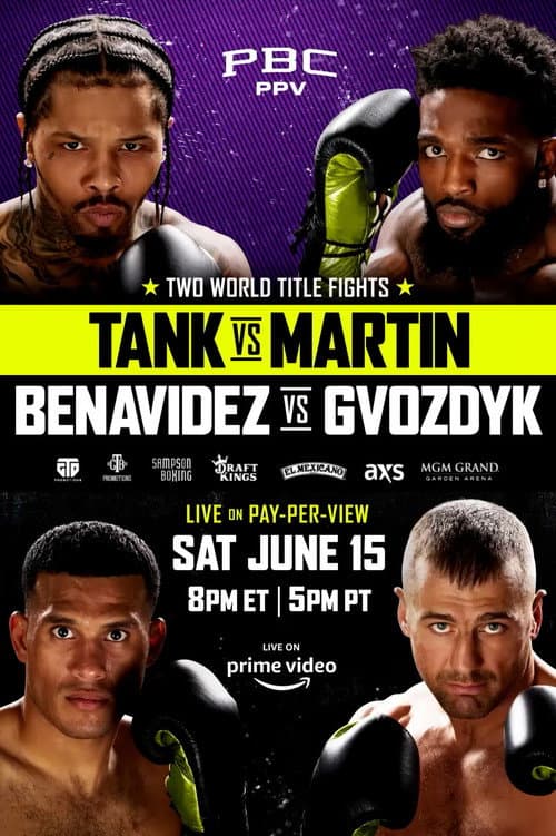Gervonta Davis vs. Frank Martin (2024) poster