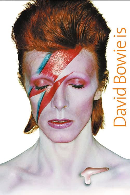 David Bowie Is Happening Now (2013) poster