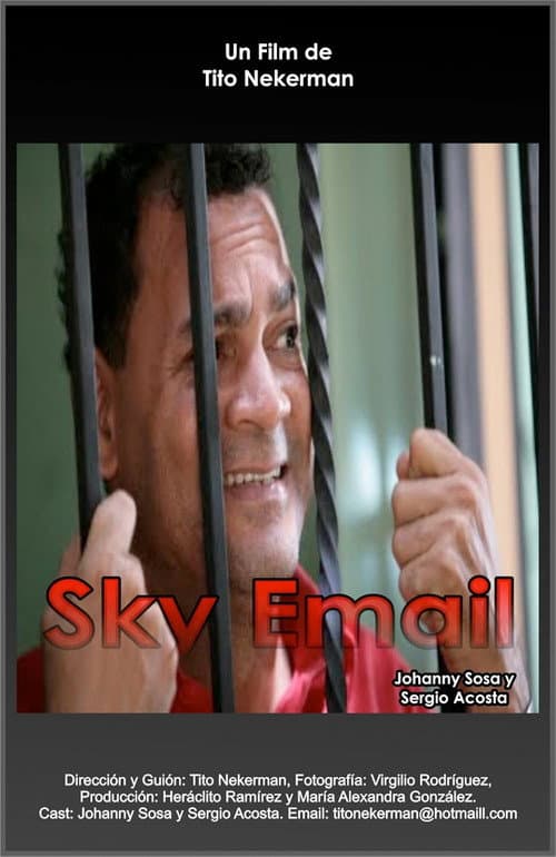Sky Email (2010) poster